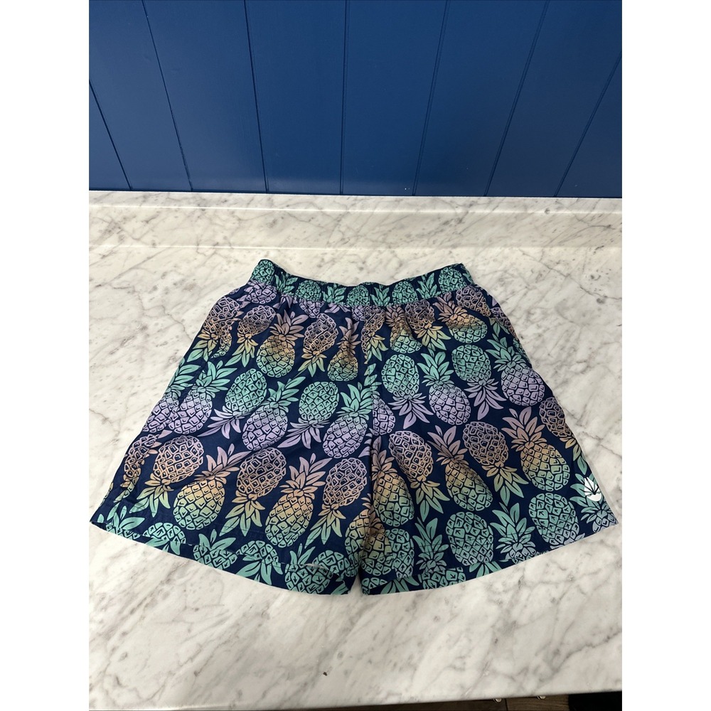 Orageous Shorts Mens Small Pineapple Swim Trunks Board Shorts‎ Summer Stretch